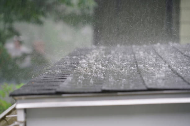Best Roof Maintenance and Cleaning  in East Gaffney, SC
